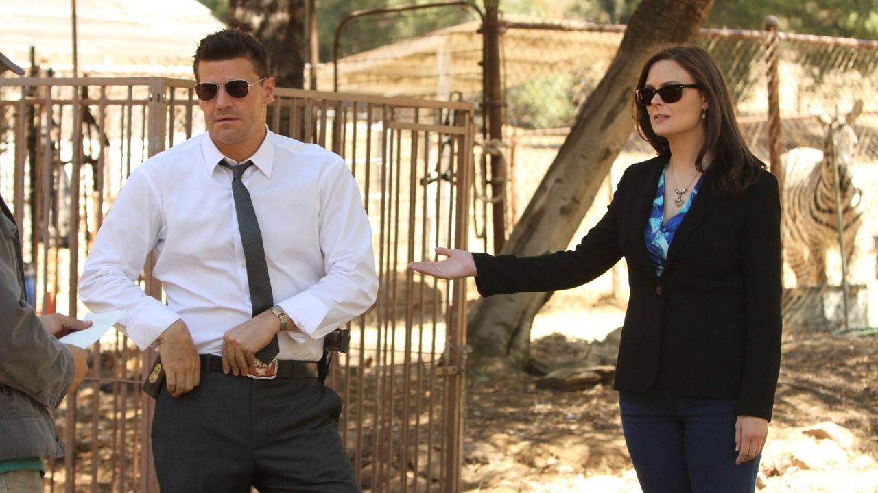 Bones - Season 8 Episode 4 : The Tiger in the Tale