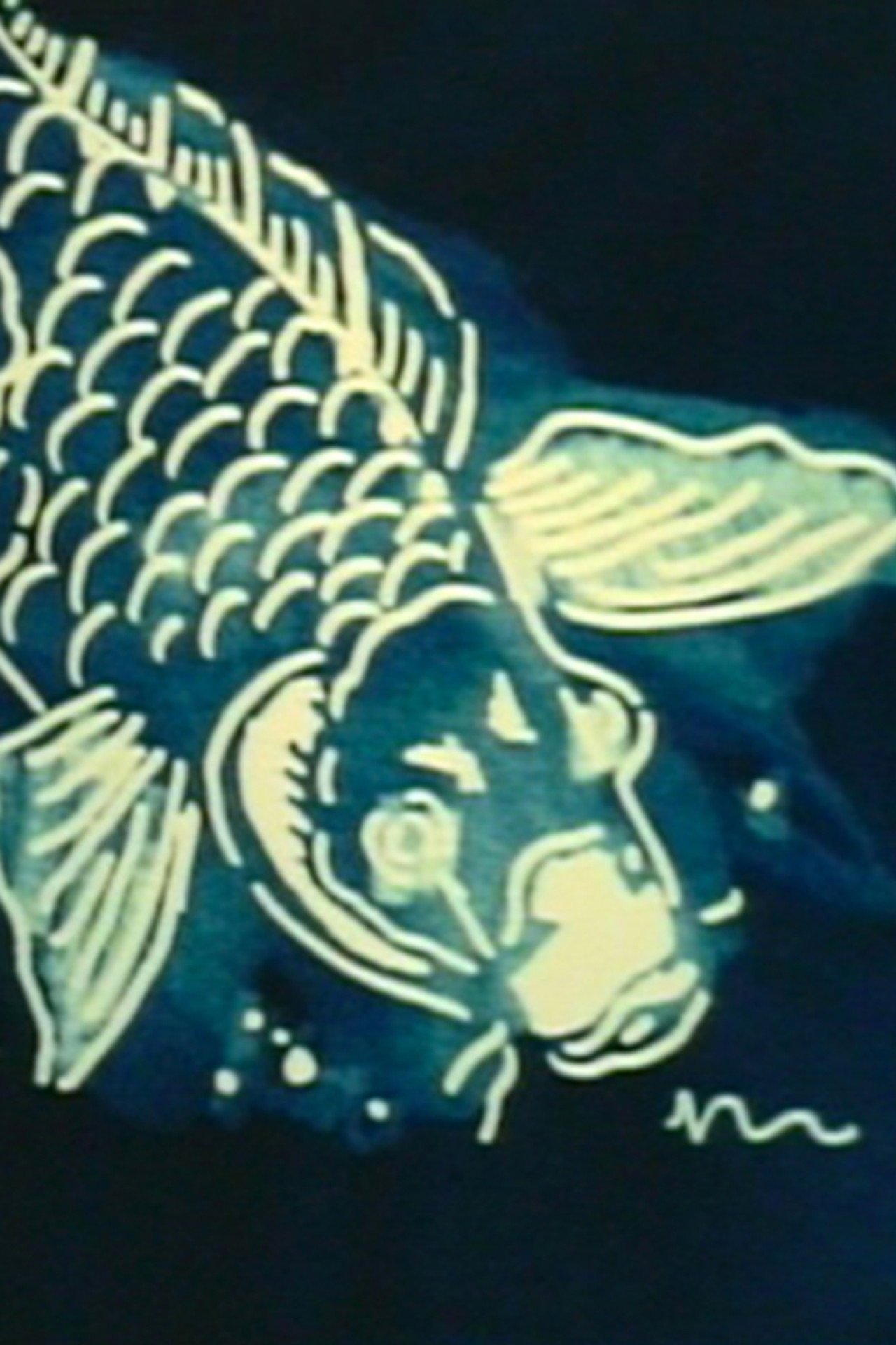 Sea Horses and Flying Fish filmaffisch