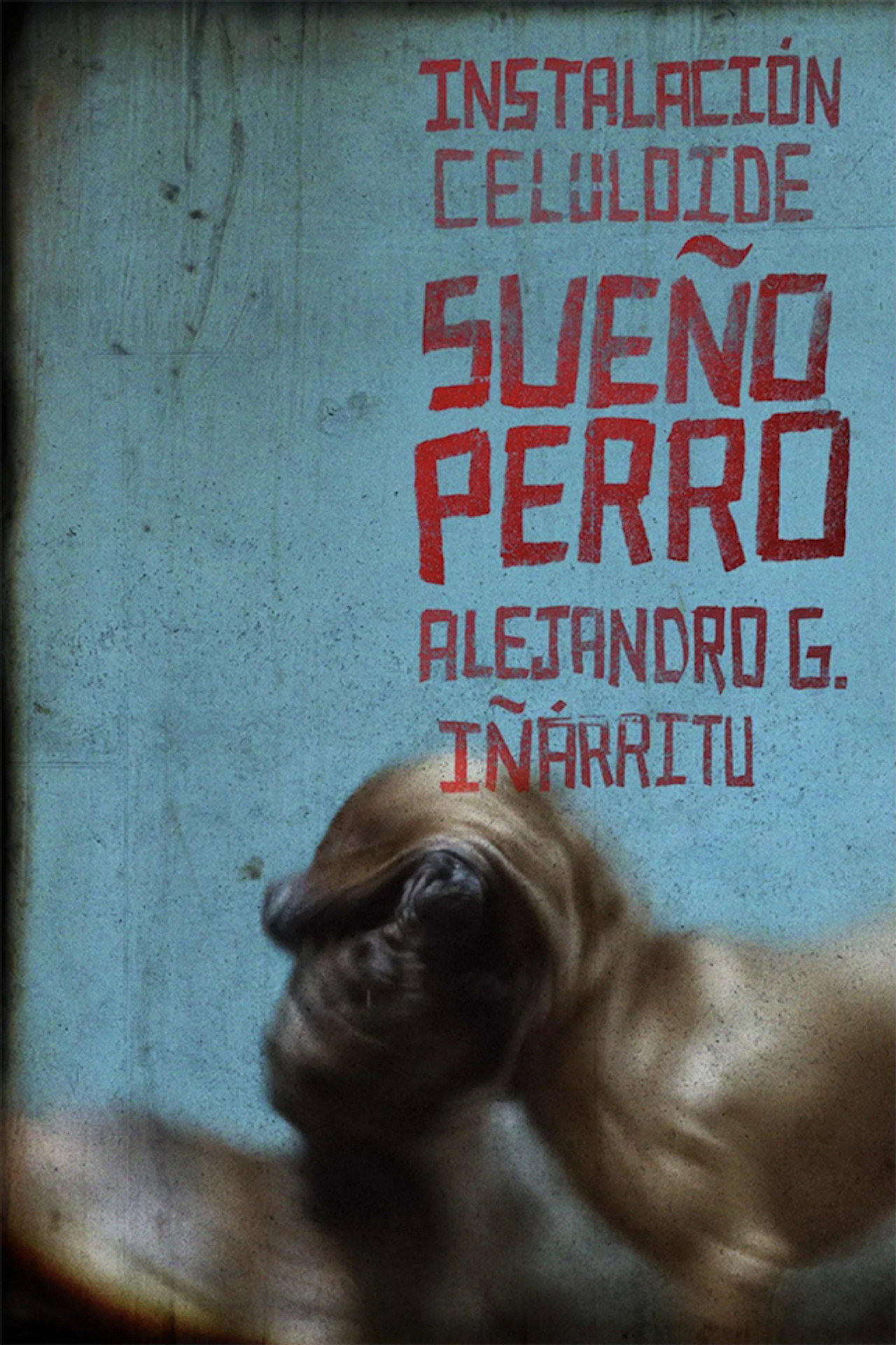 Sueño Perro Backdrop