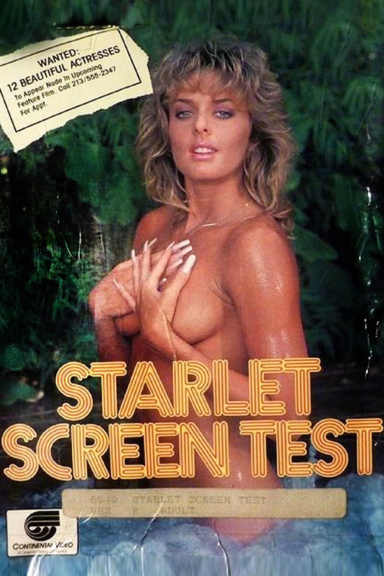 Starlet Screen Test Backdrop