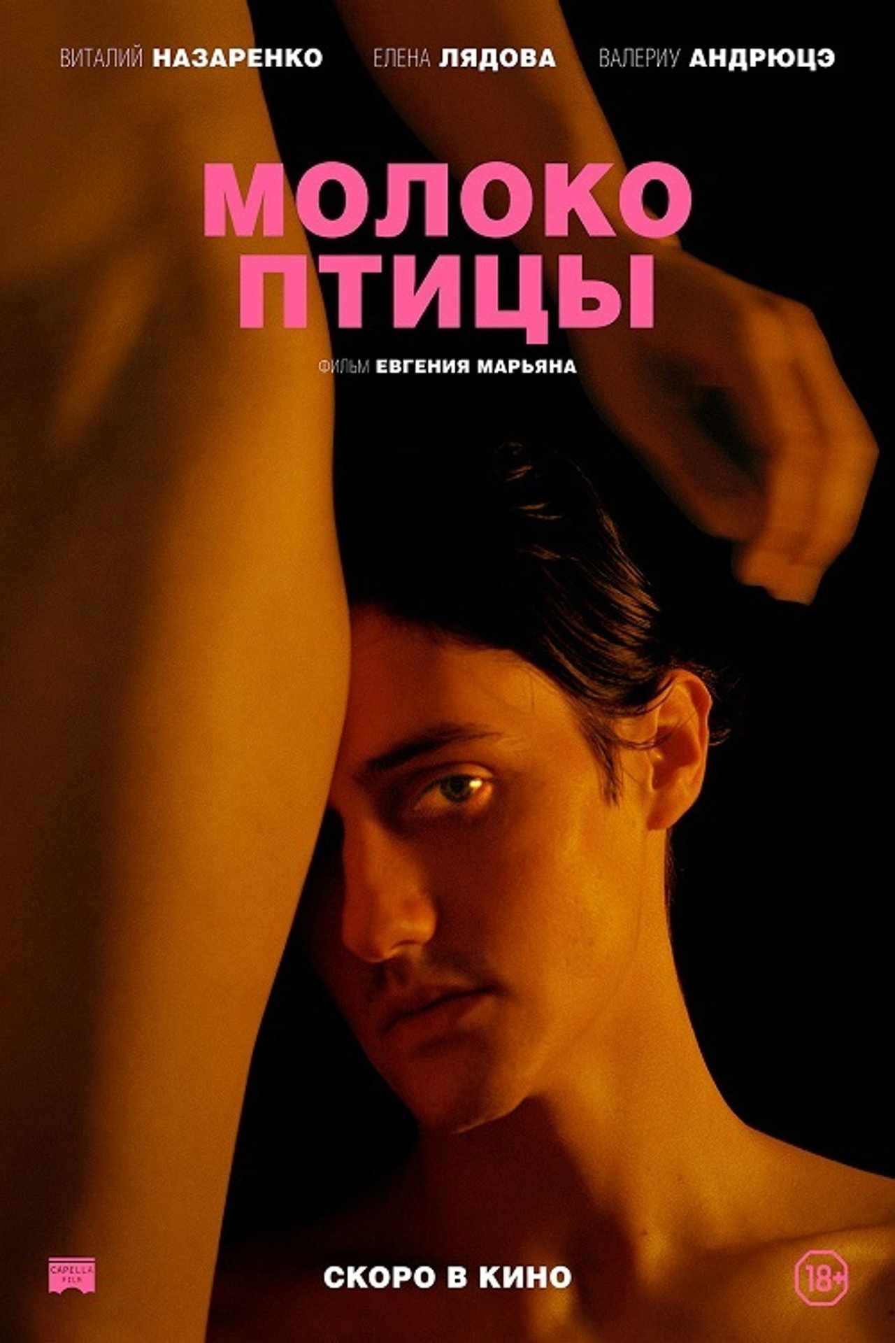 Молоко птицы filmaffisch