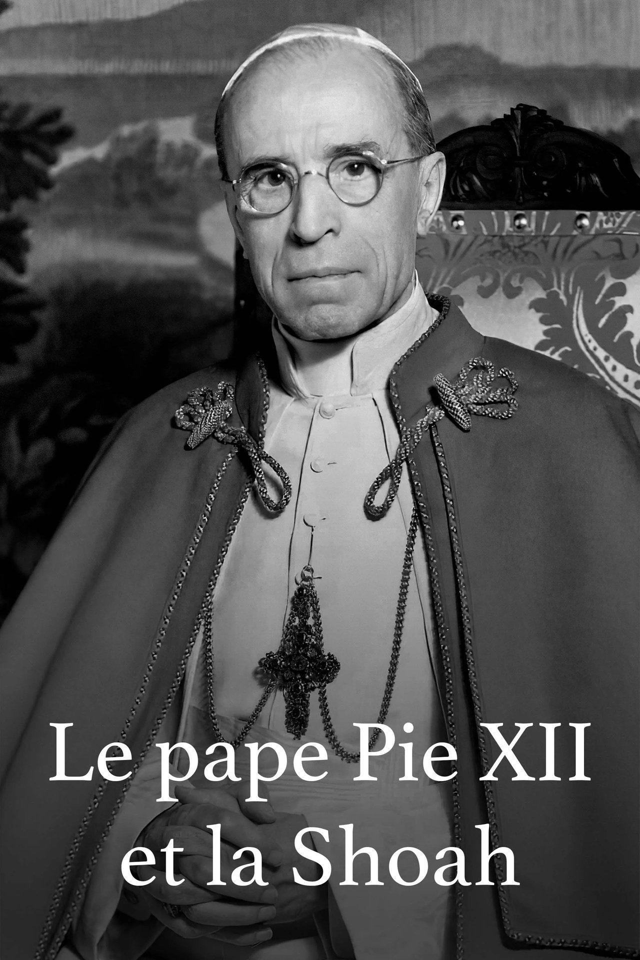 Le pape Pie XII et la Shoah poster