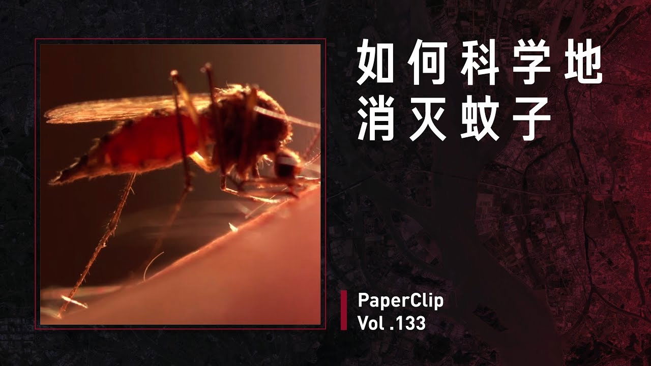 回形针PaperClip — Épisode 133