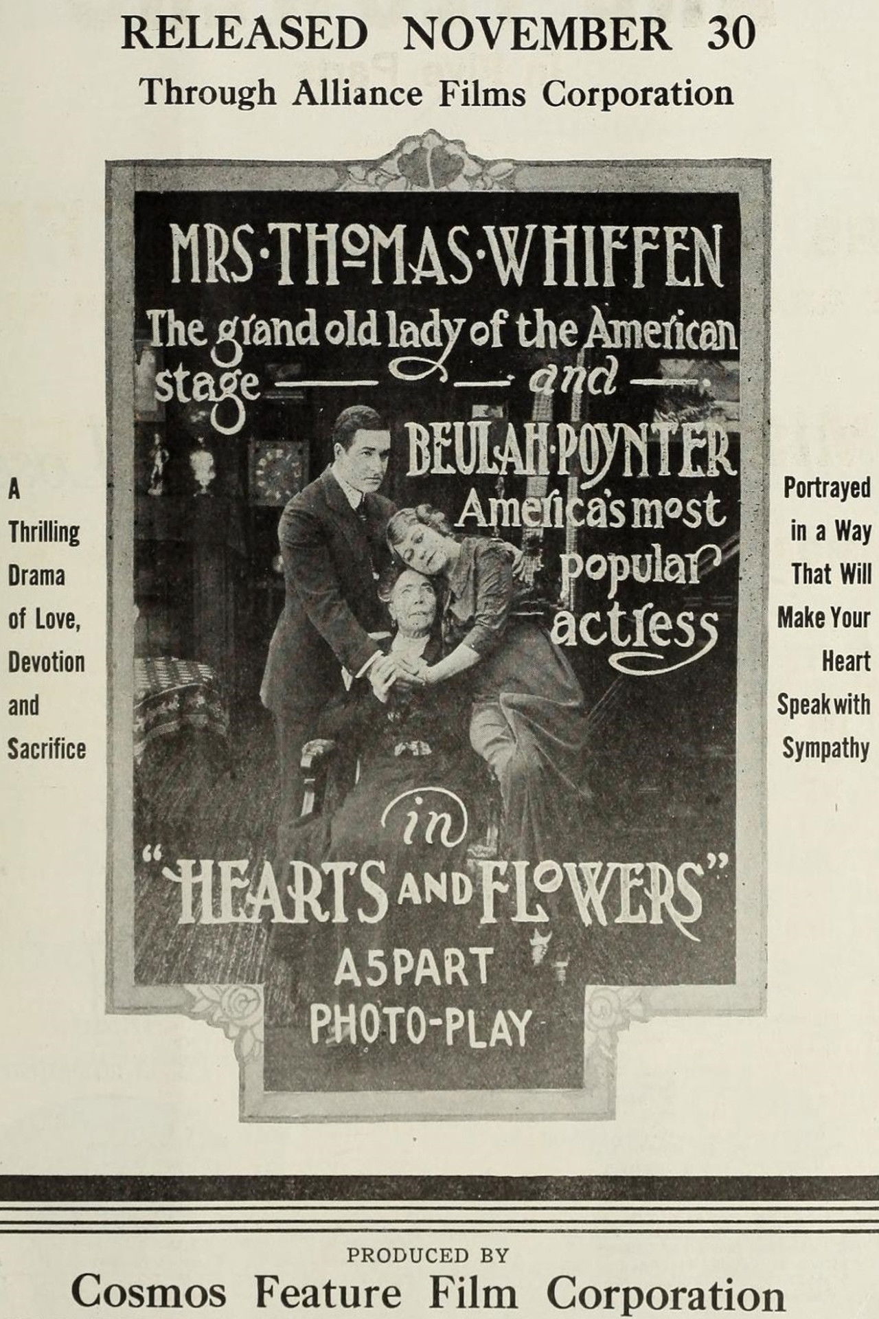 Hearts and Flowers Backdrop