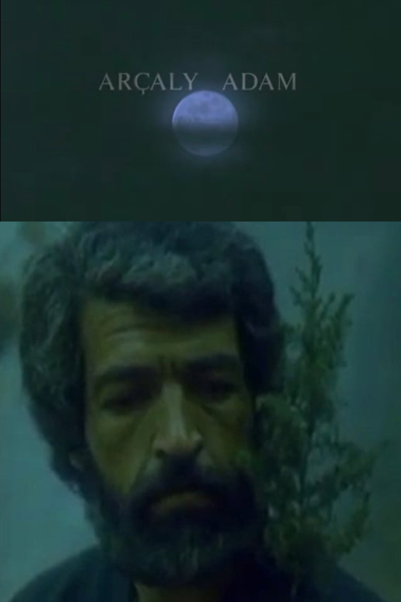 The Man with the Fir Tree Backdrop