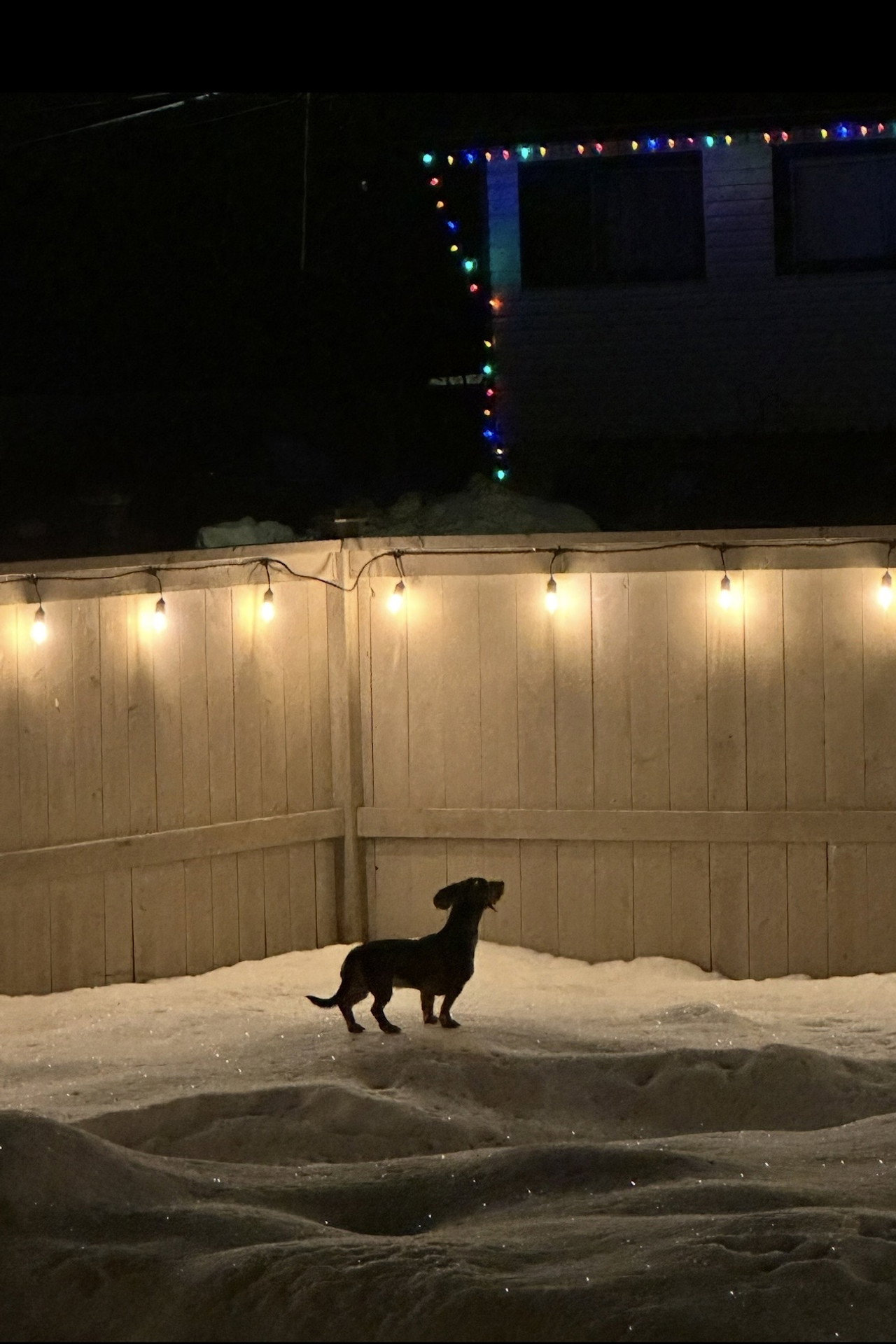 Footprints in the snow