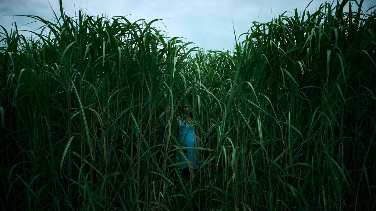 Scen från In the Tall Grass