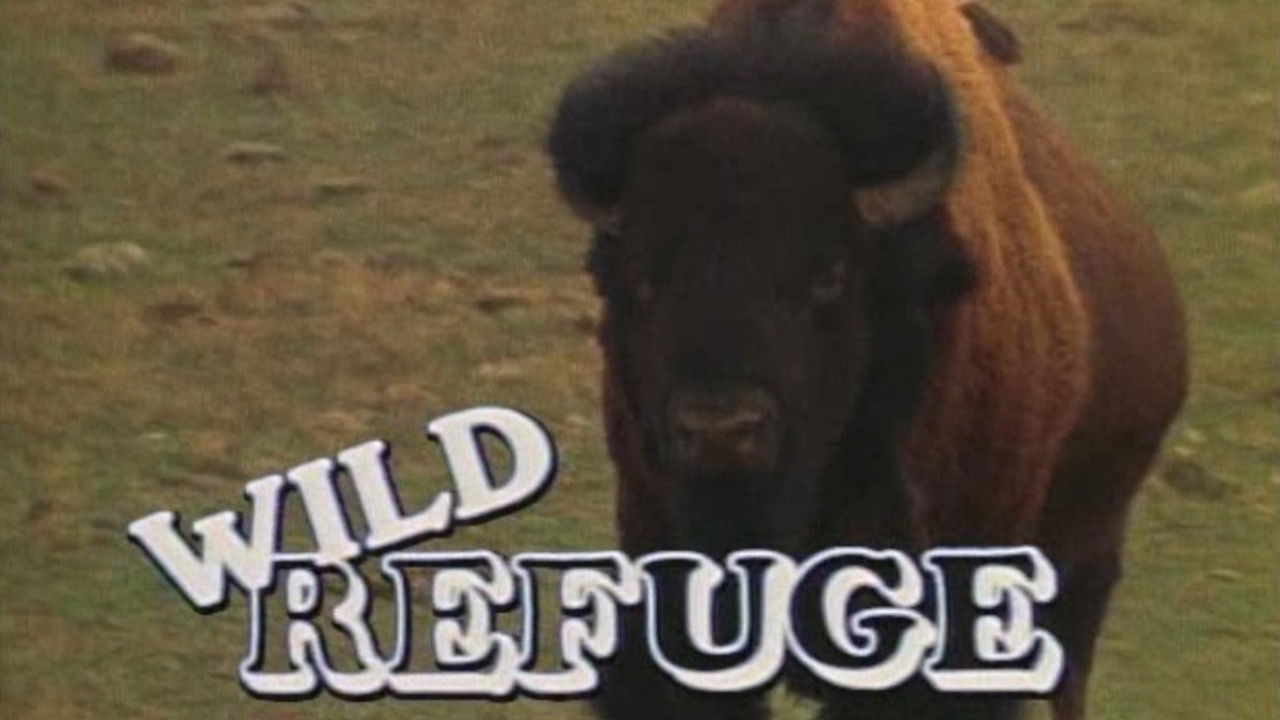 Marty Stouffer's Wild America — Épisode 7