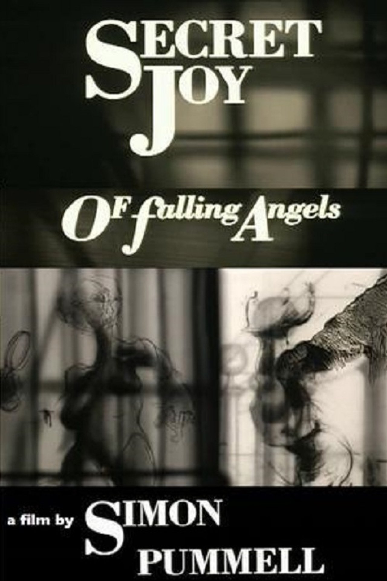 Secret Joy of Falling Angels Secret Joy of Falling Angels