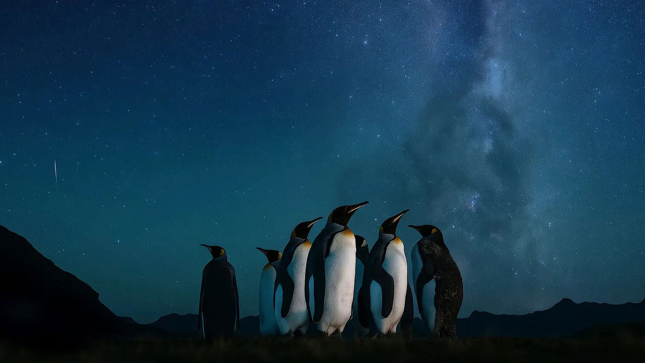 People of the Storms