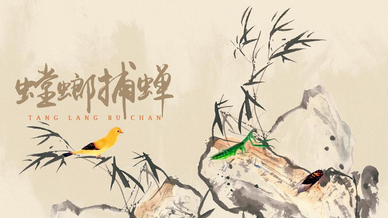 上海美术动画合集 — Épisode 41