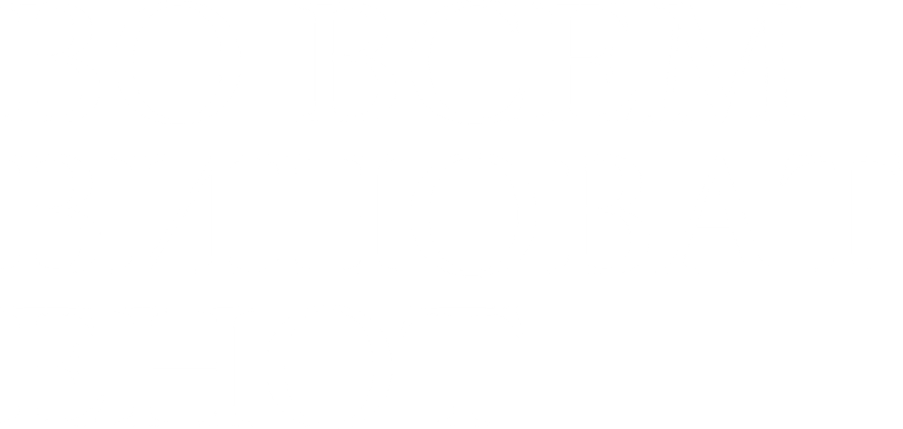 Во всём виноват енот