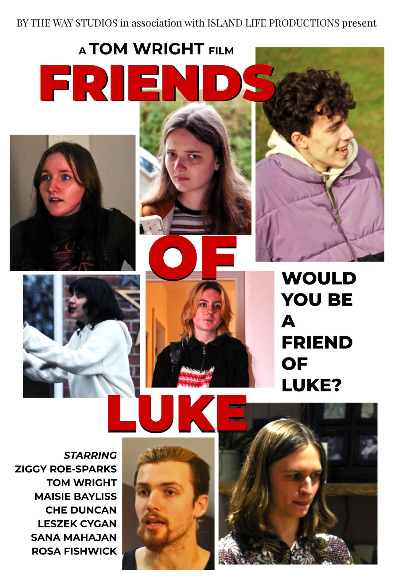 Friends of Luke filmaffisch