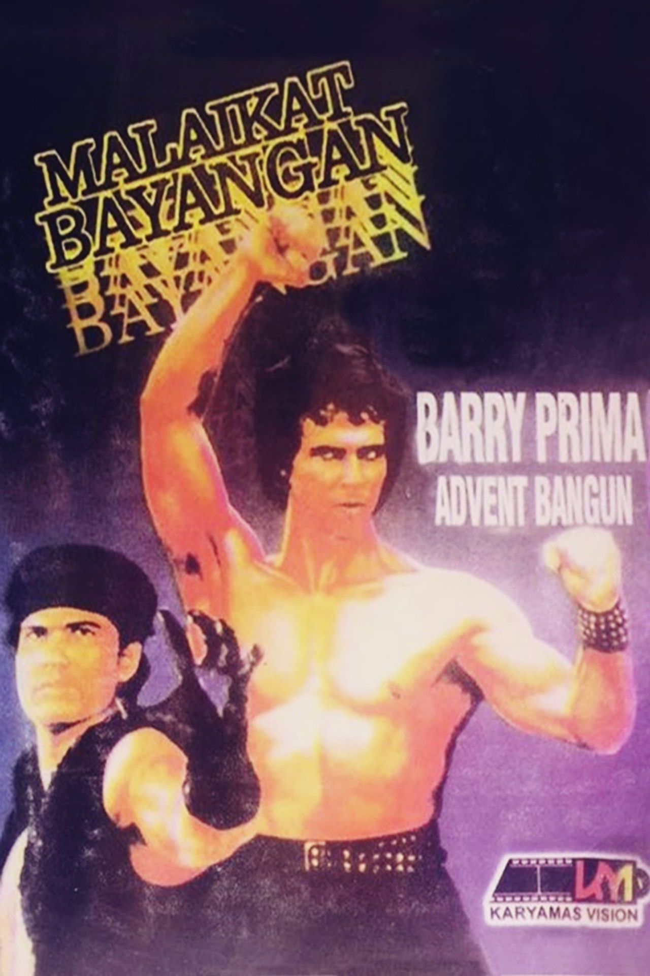 Shadow Angel Backdrop