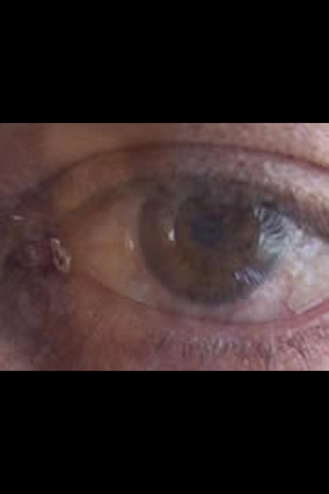 Mon corps vivant, mon corps mort filmaffisch