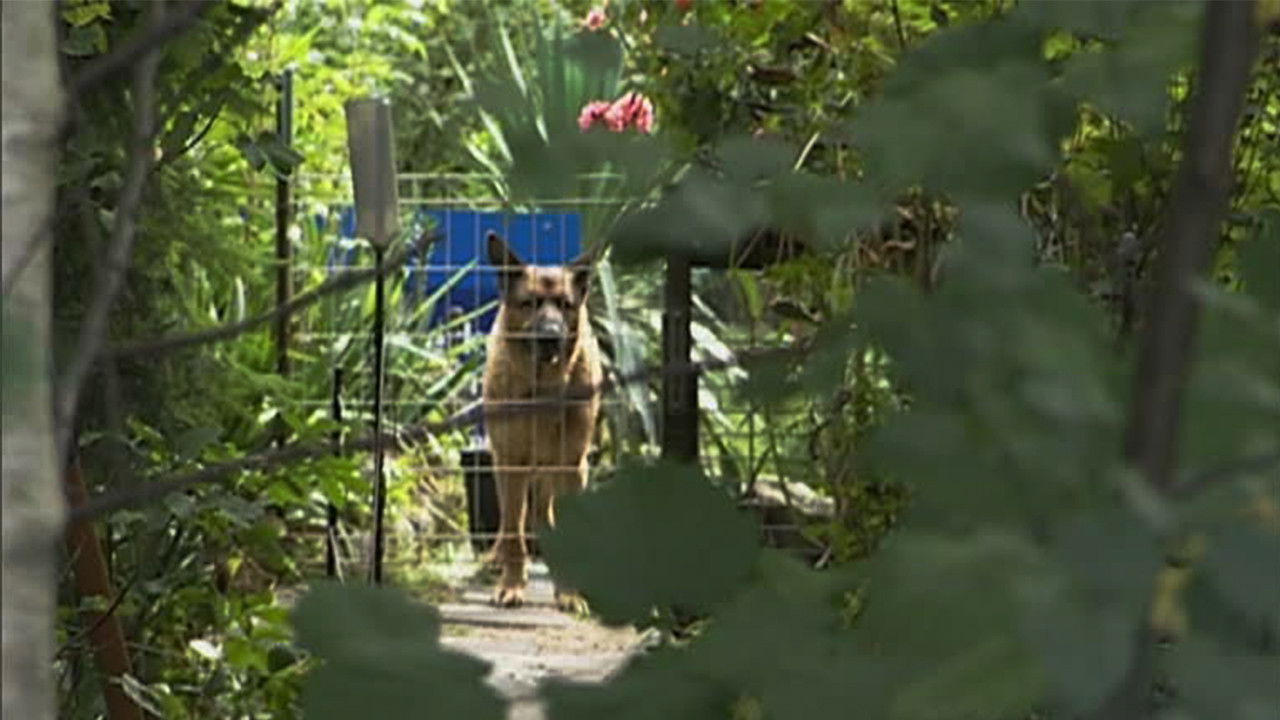 Toto & Harry — Épisode 18