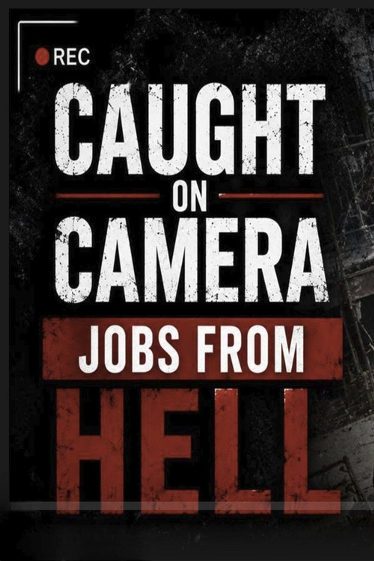 Jobs from Hell: Caught on Camera