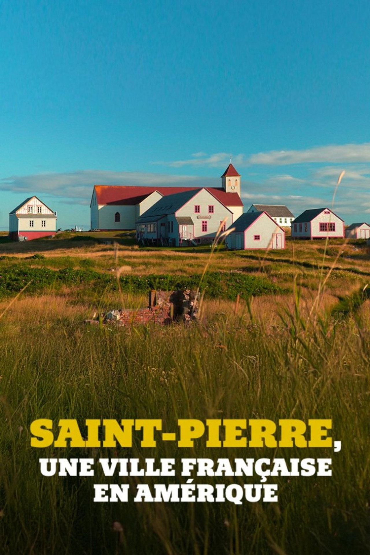 Saint-Pierre, une ville française en Amérique filmaffisch
