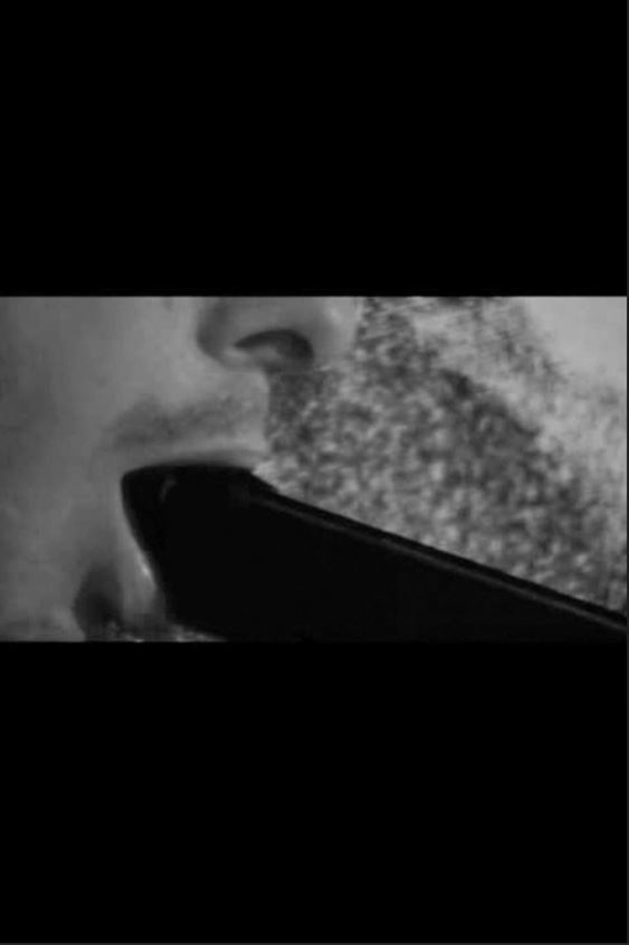 Raspberry Reich GR filmaffisch