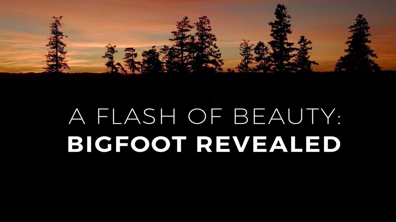 A Flash of Beauty: Bigfoot Revealed background