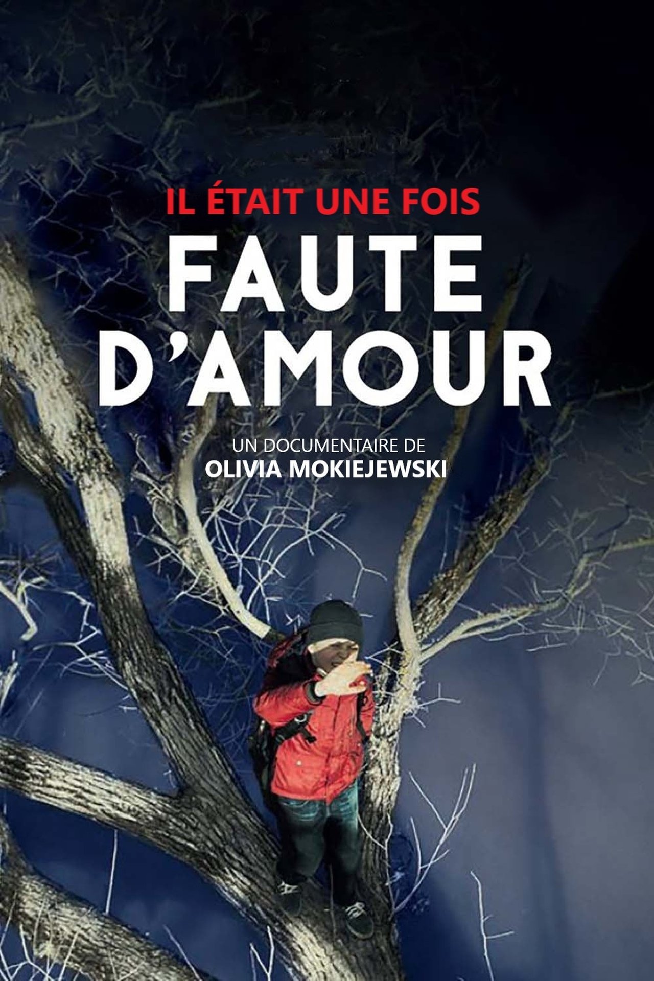 Il était une fois... « Faute d'amour » poster