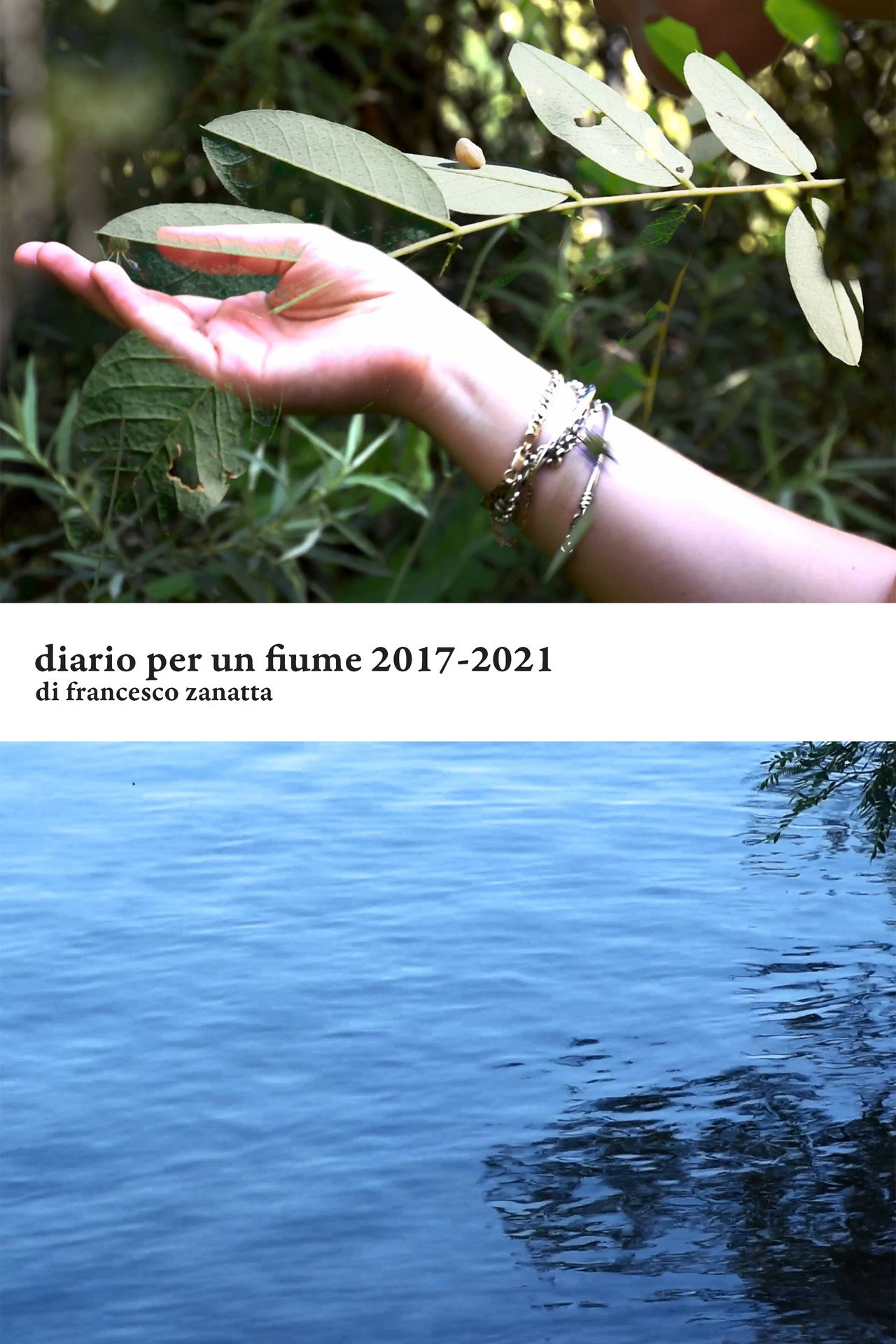 Diario per un fiume 2017-2021 filmaffisch