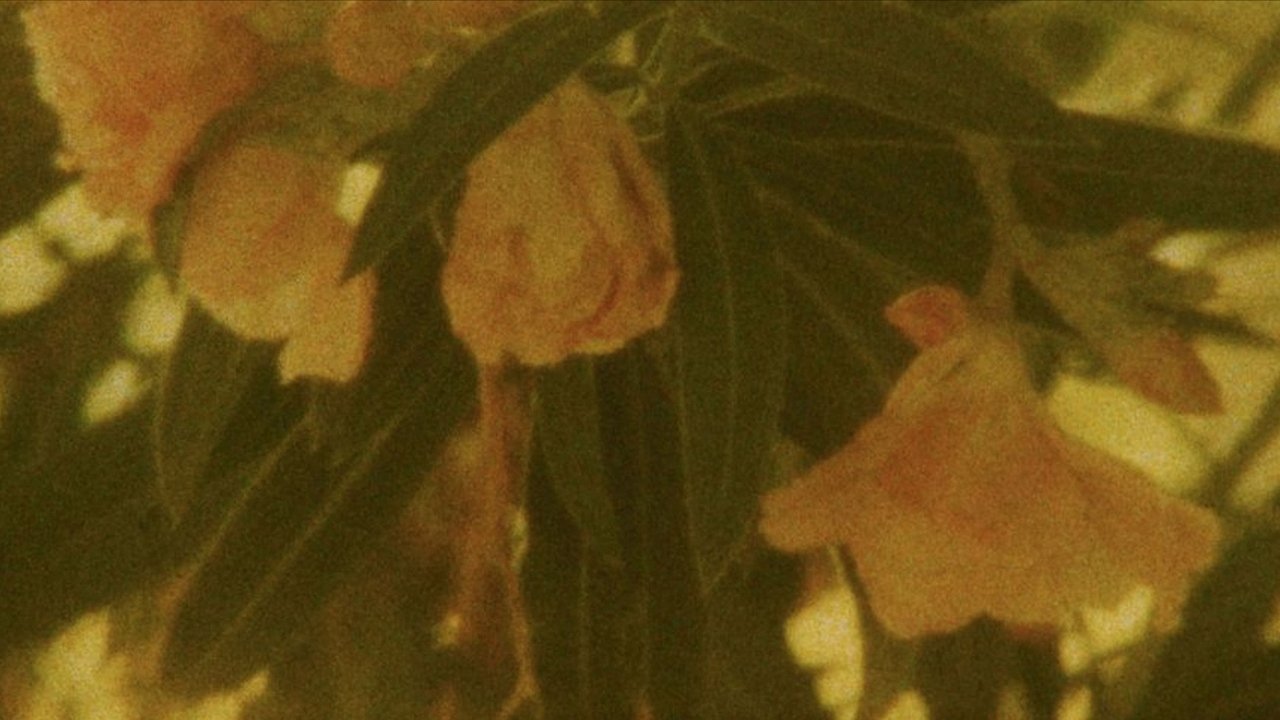 Seasons/Patterns