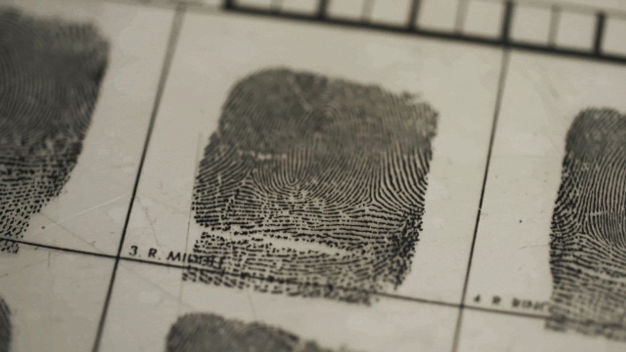 Hvad liget fortæller — Épisode 2