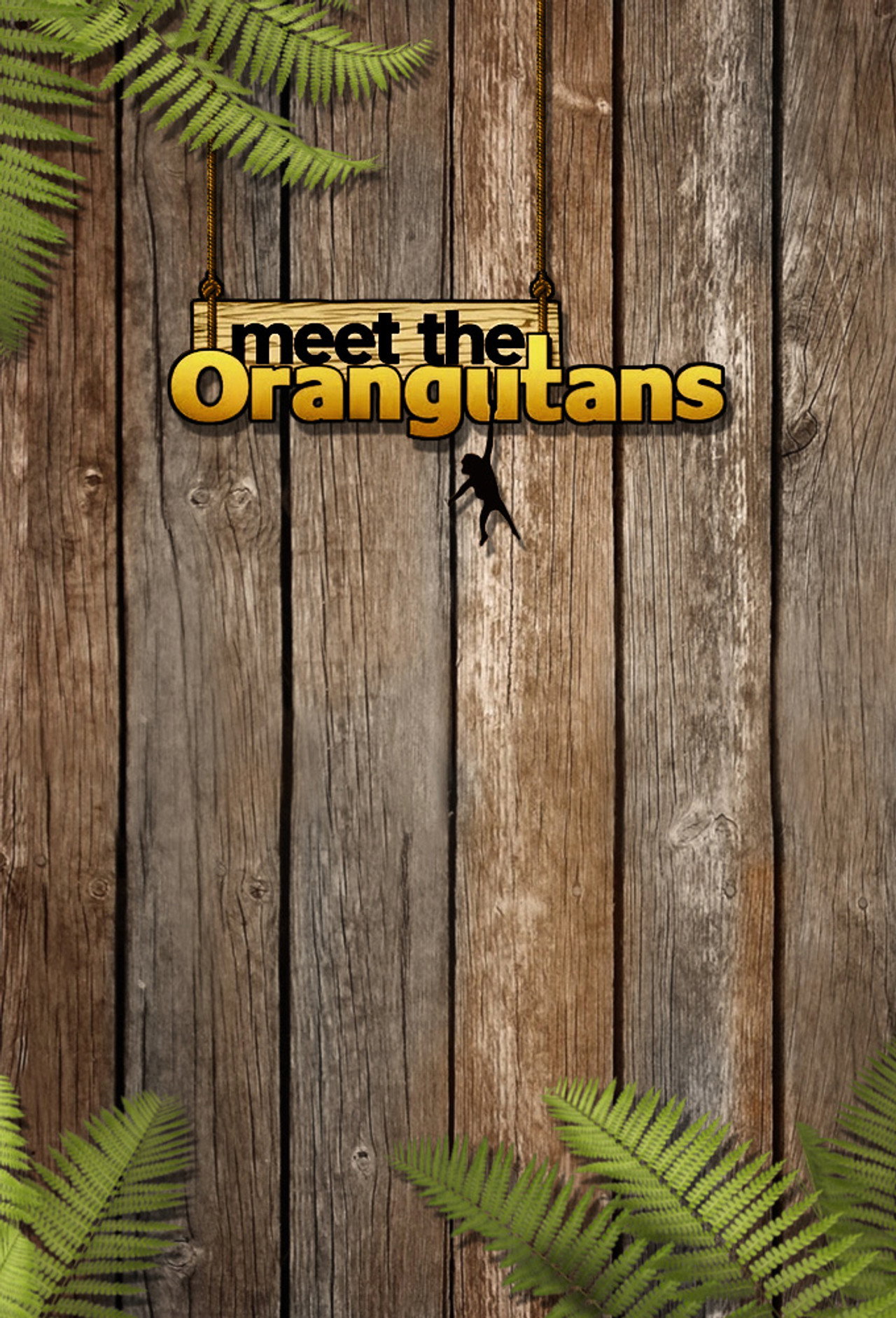 Meet the Orangutans affisch
