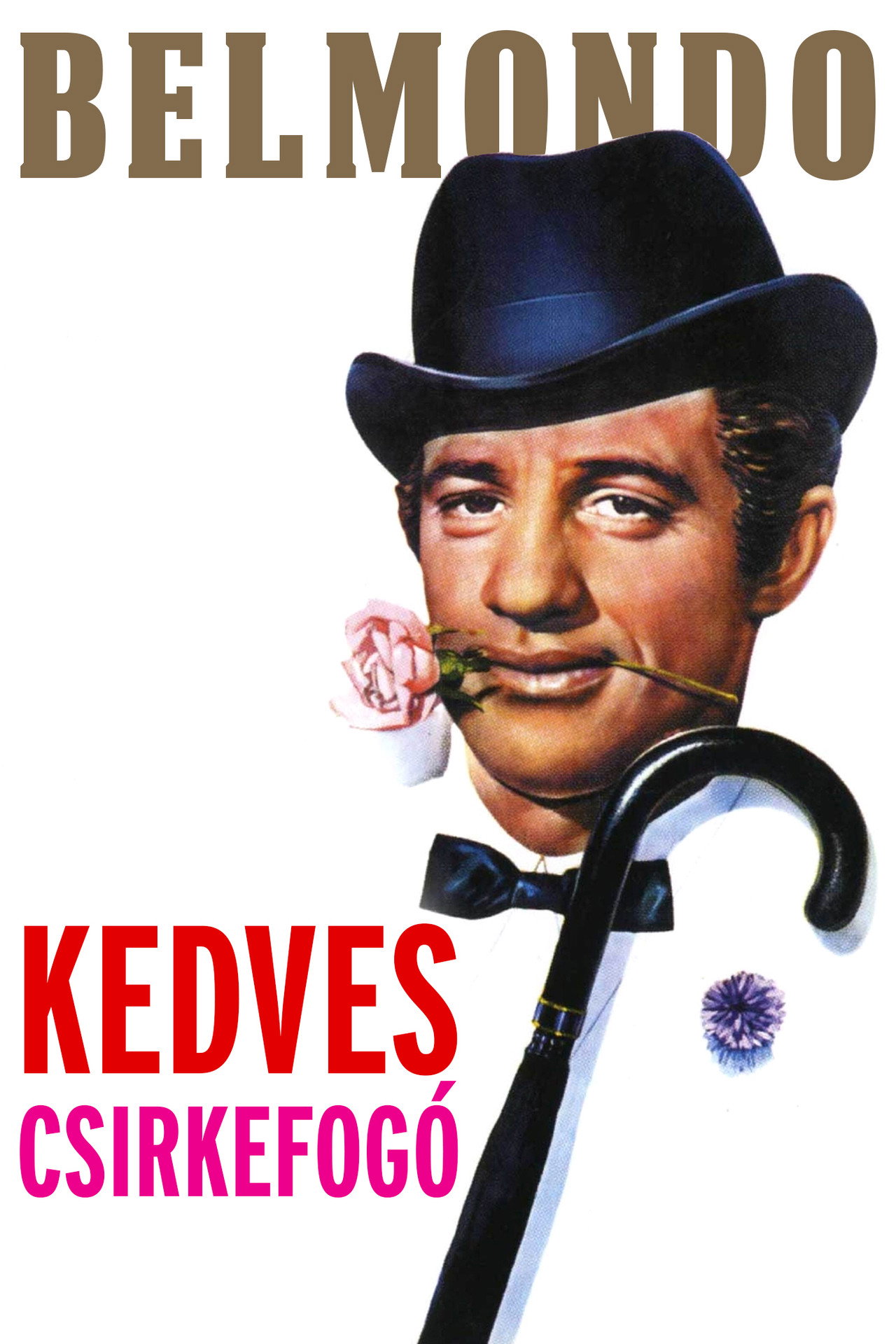 Kedves csirkefogó – plakát 3