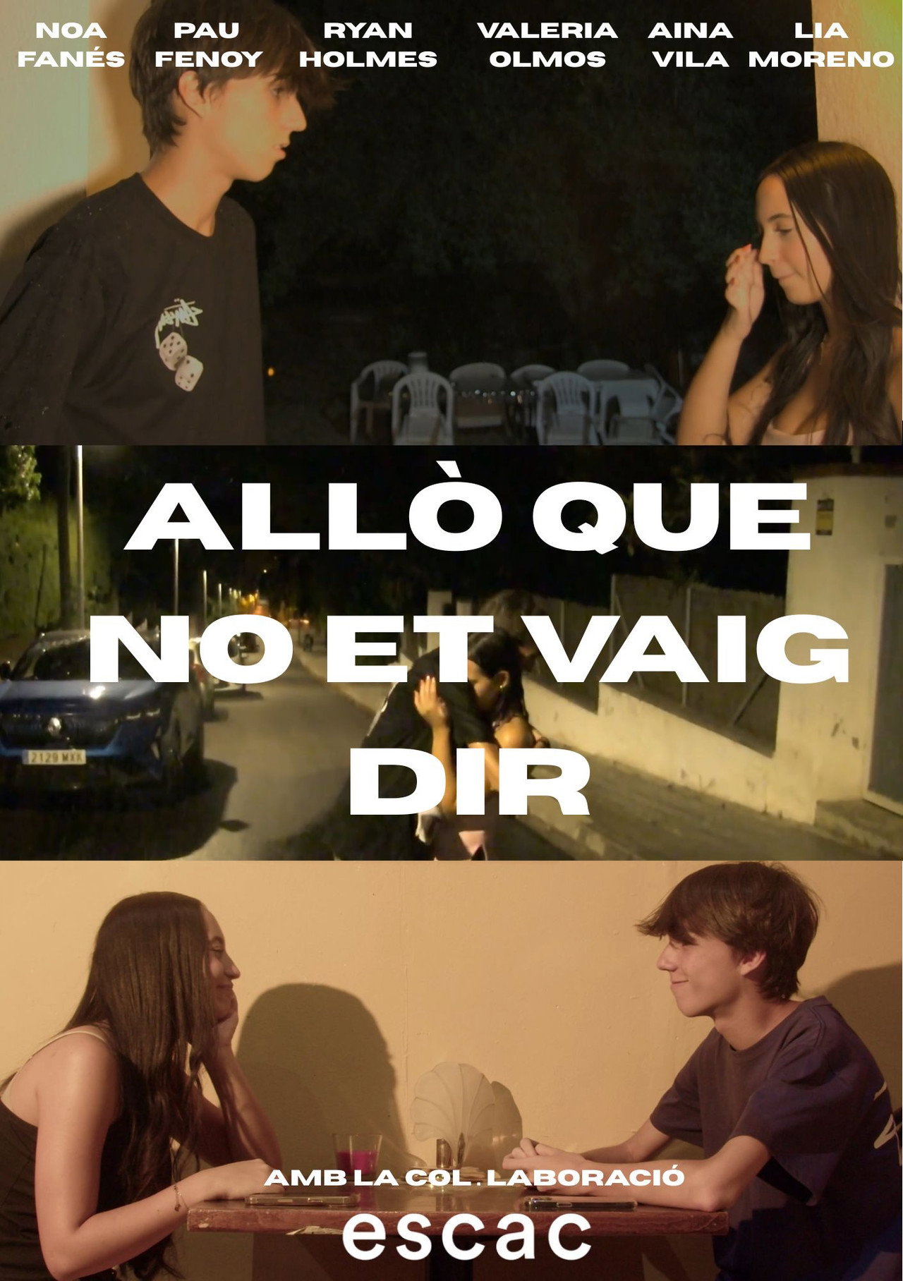 Allò que no et vaig dir