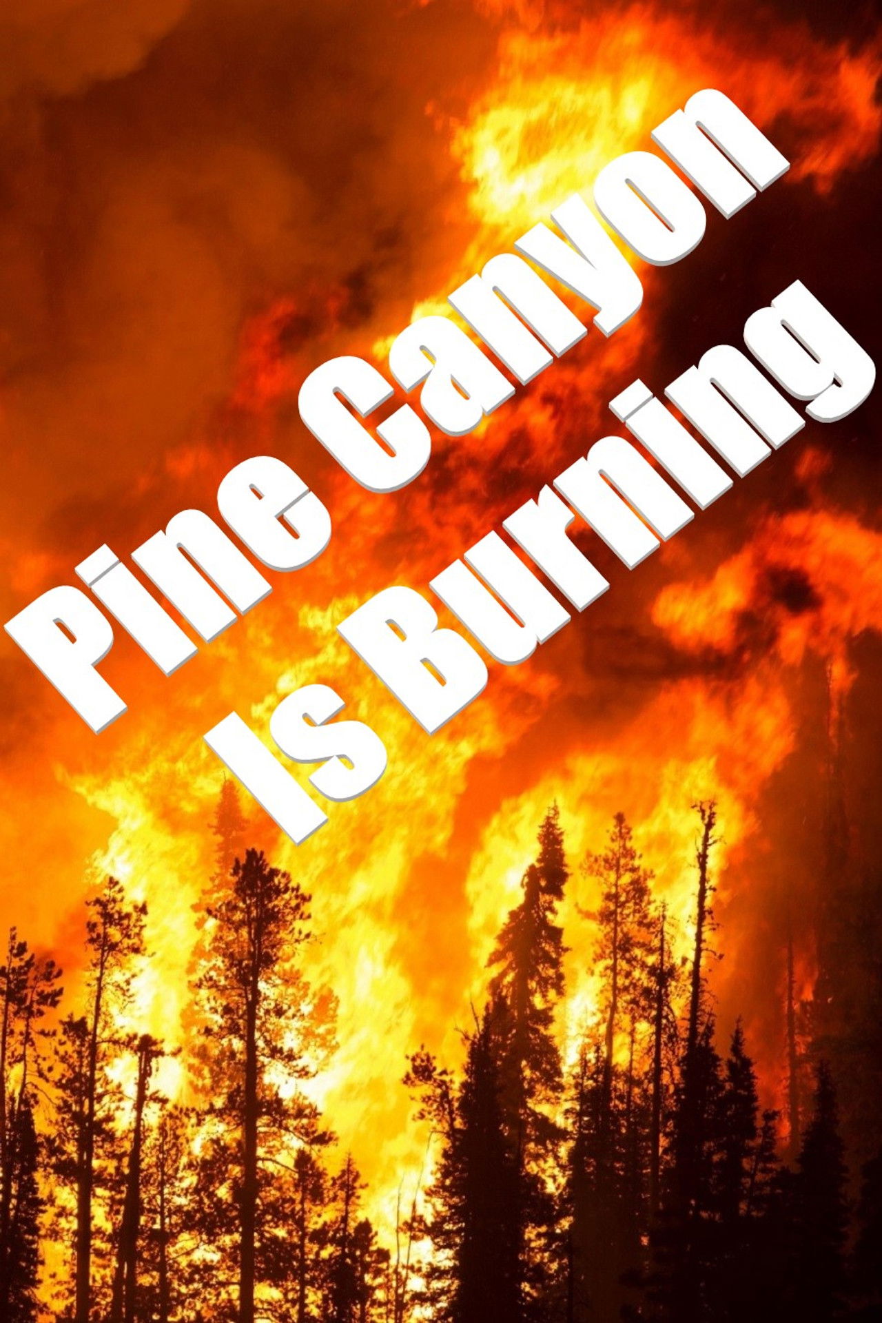 Pine Canyon Is Burning Backdrop