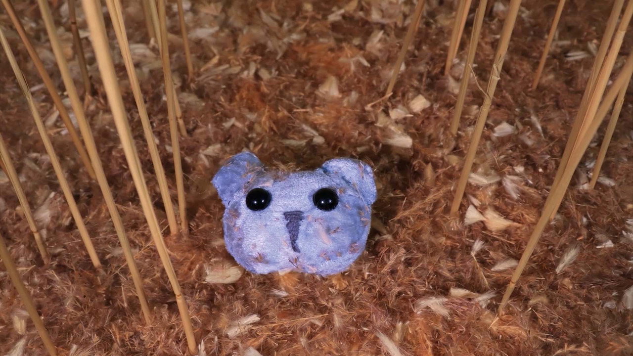 Immagine di copertina del trailer di Stuffed