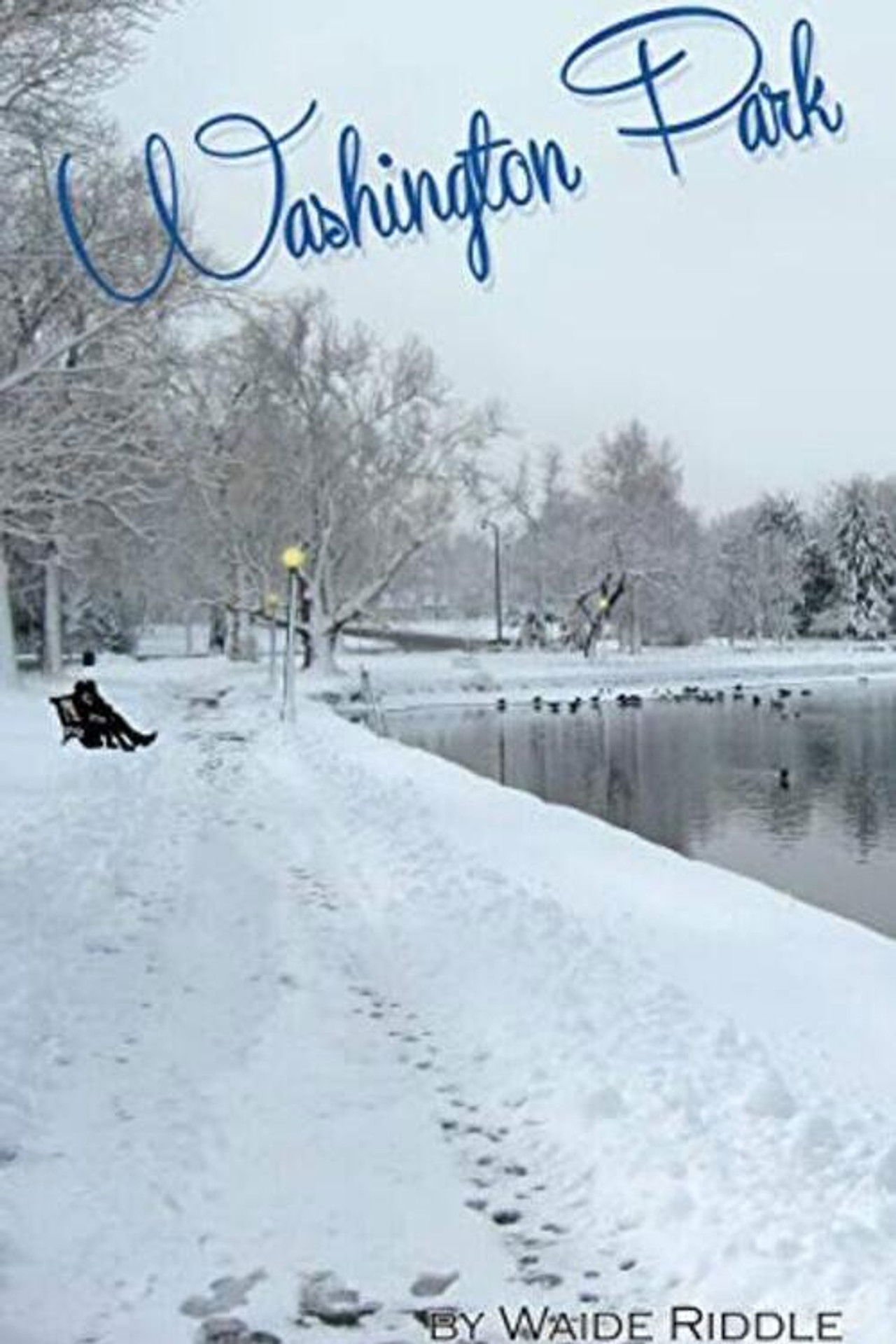 Washington Park Backdrop