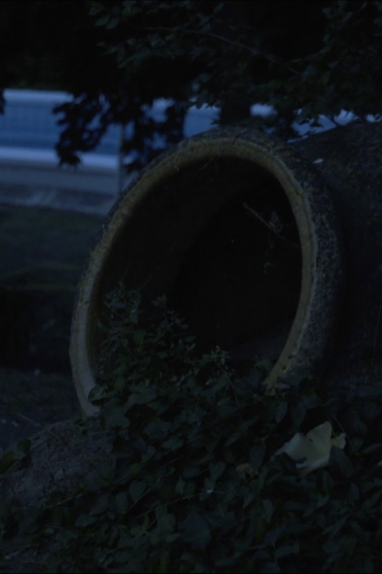 O espírito de Pucho Boedo filmaffisch