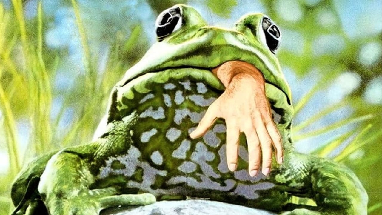 Frogs background