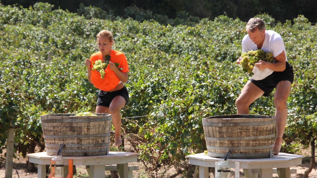 Mesternes mester — Épisode 6