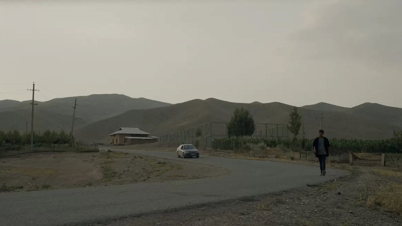 SKYLARK still 2