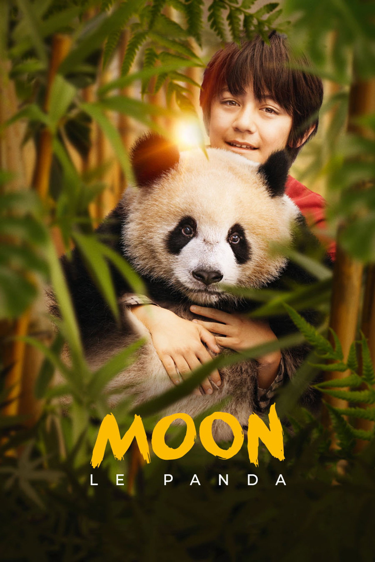 Moon le Panda poster