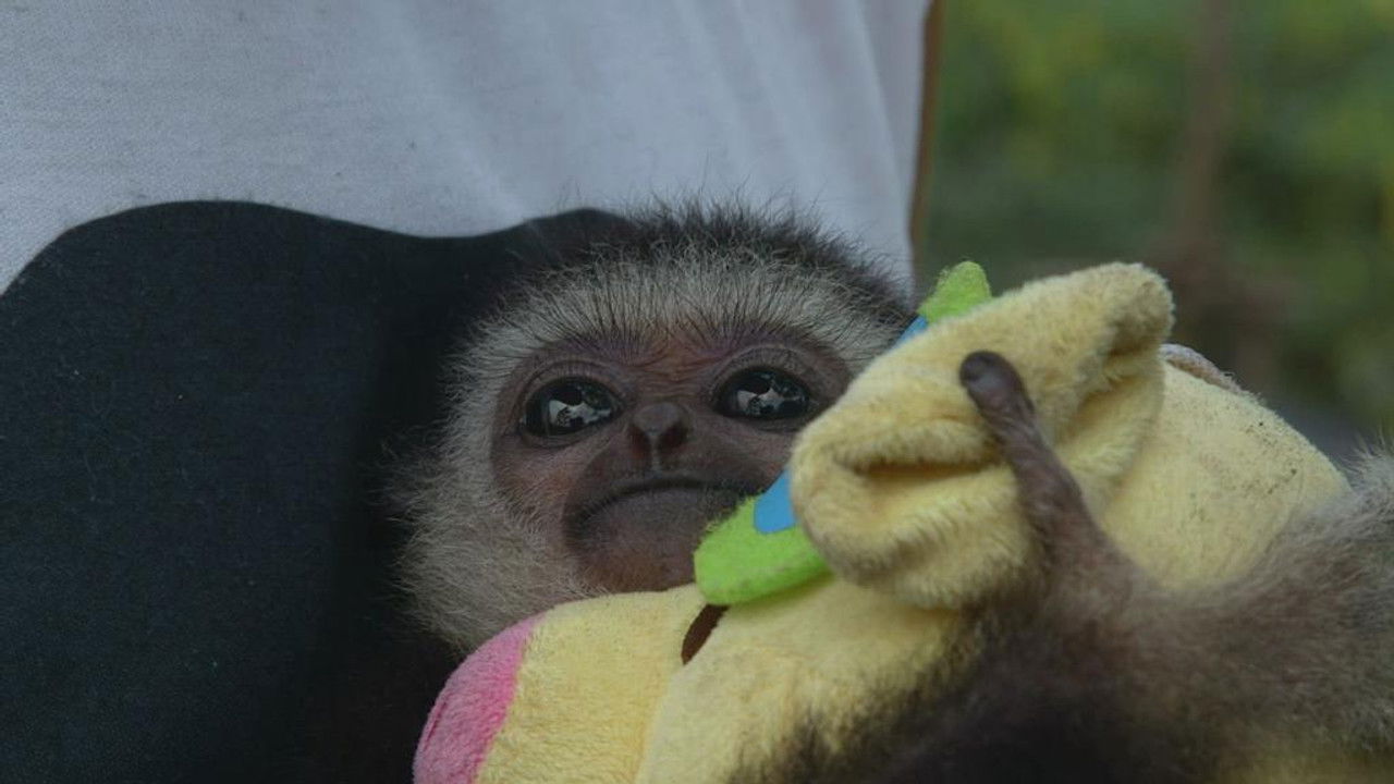 Wild Frank — Épisode 2