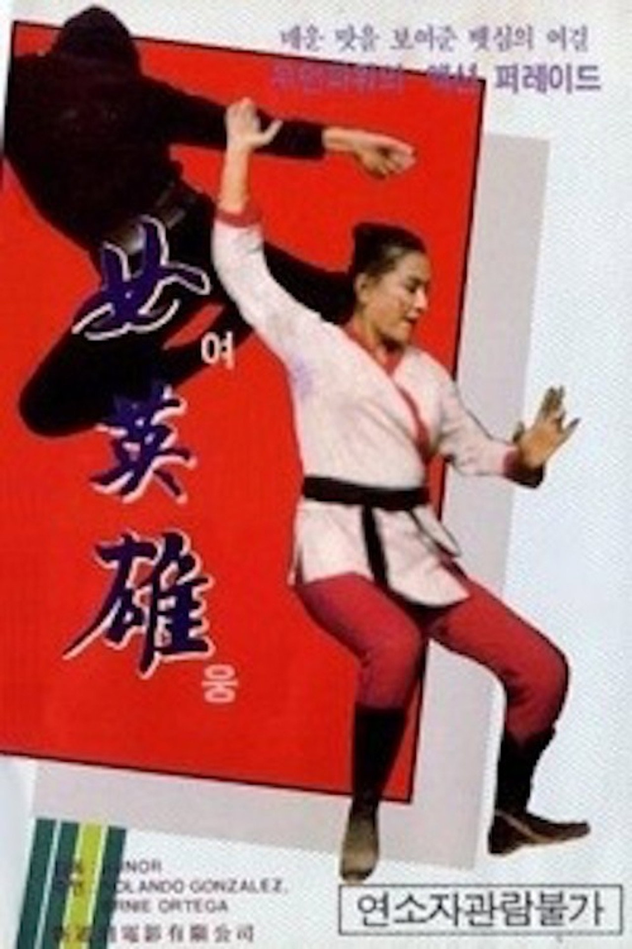Revenge of a Lady Fighter