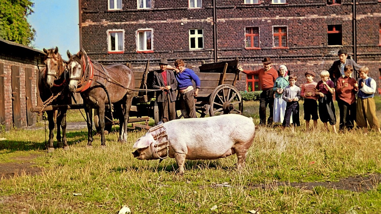 Grzeszny żywot Franciszka Buły (1980)