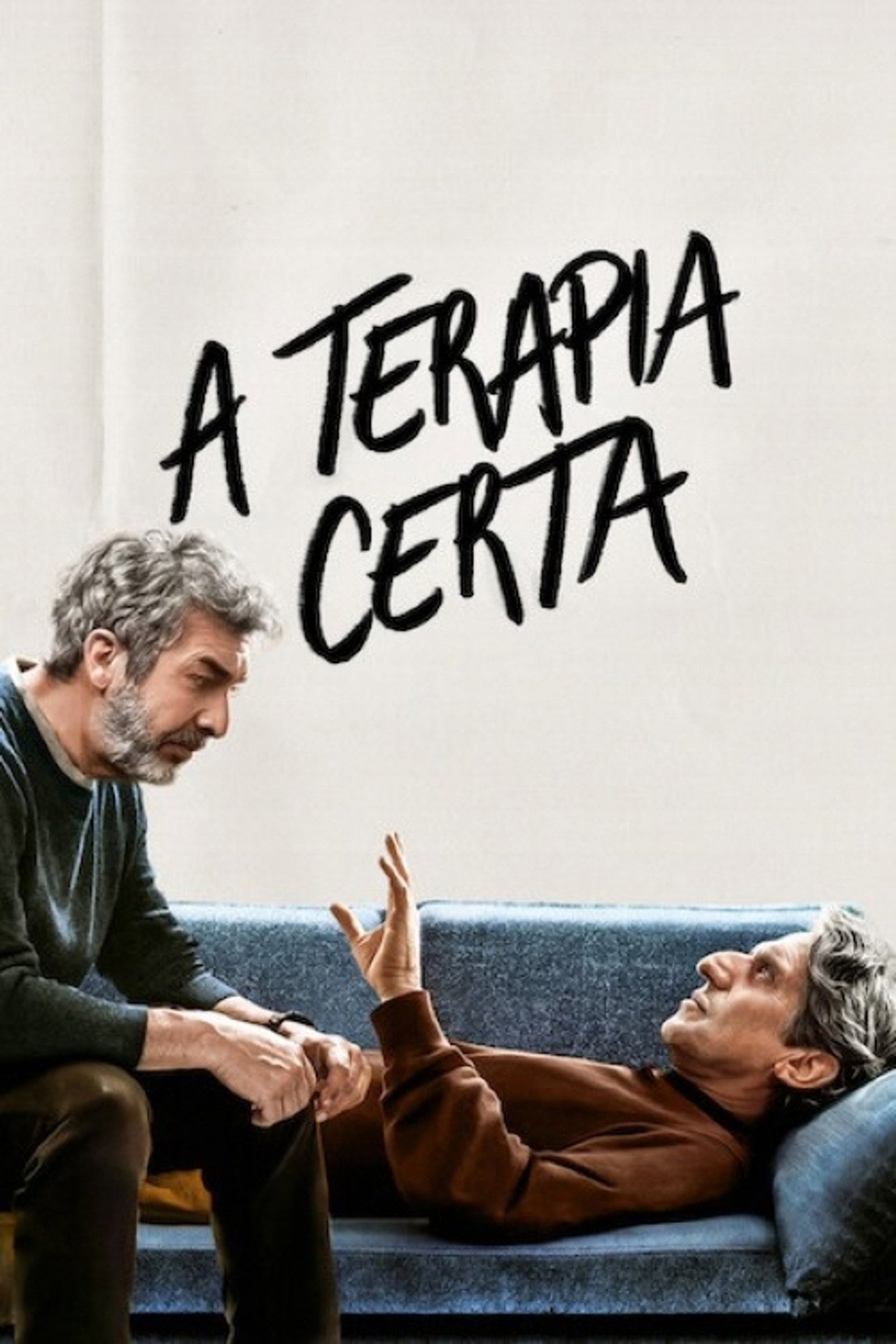 Pôster de A Terapia Certa
