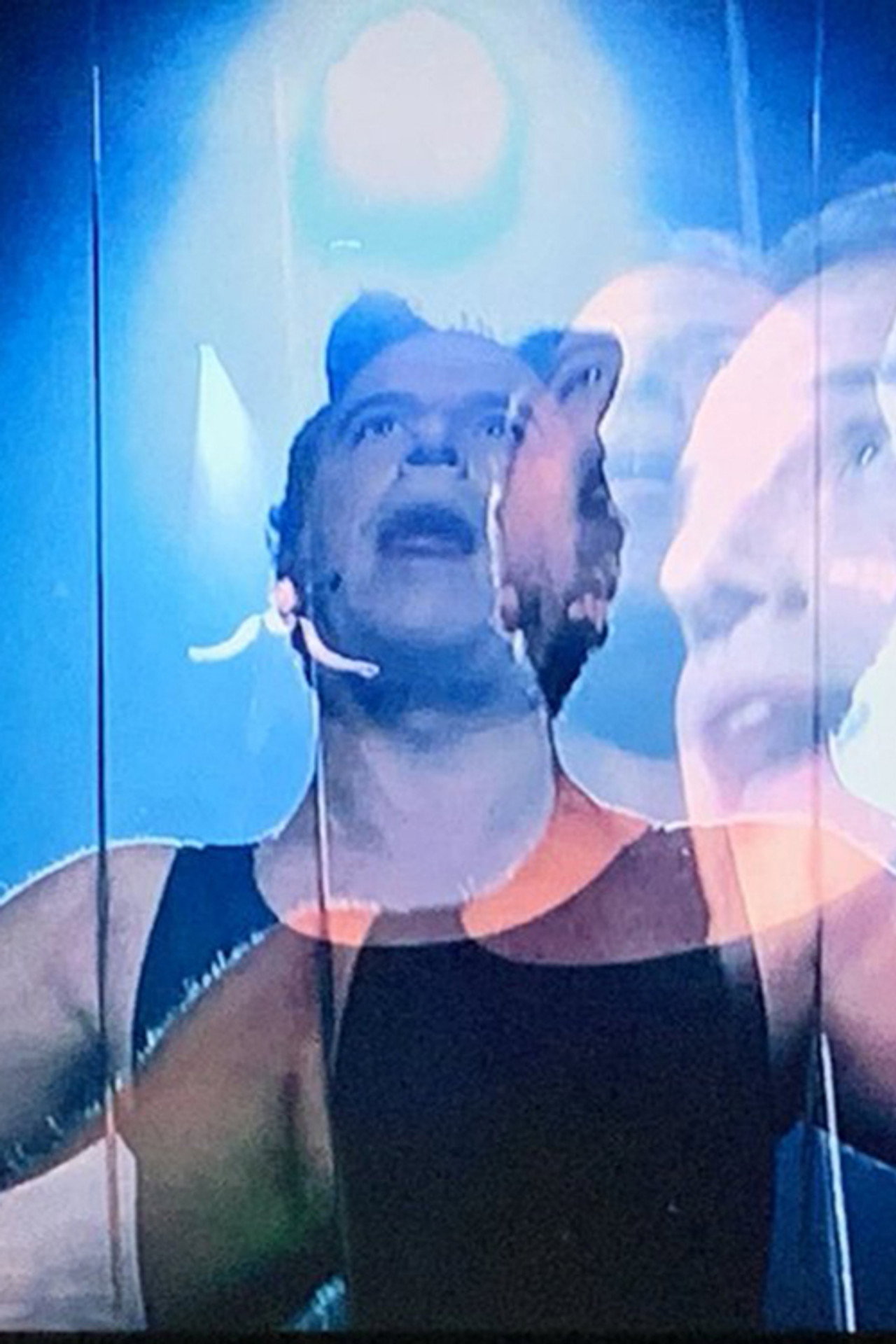 One Thousand Cats Backdrop