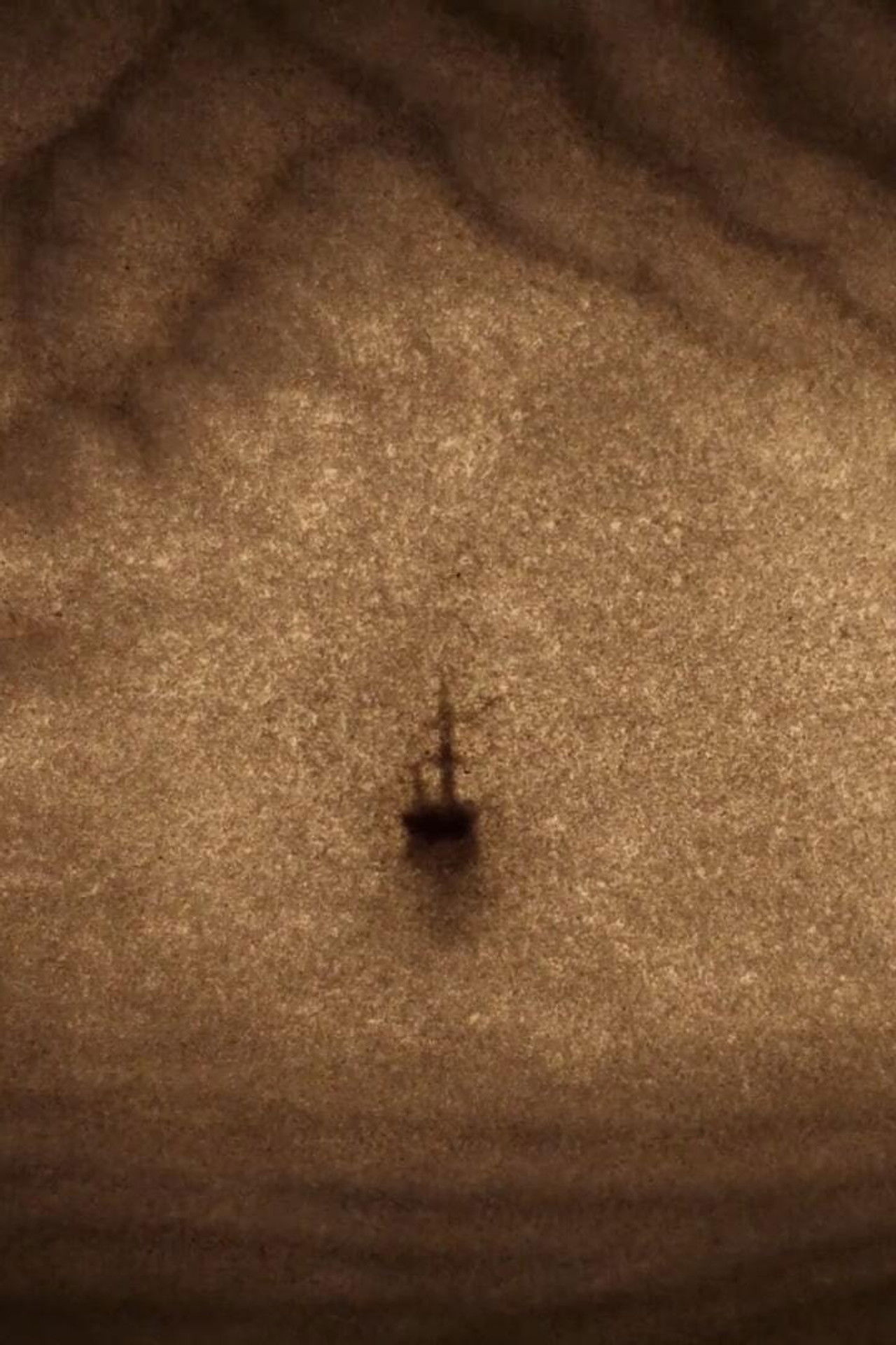 The Crossing Backdrop