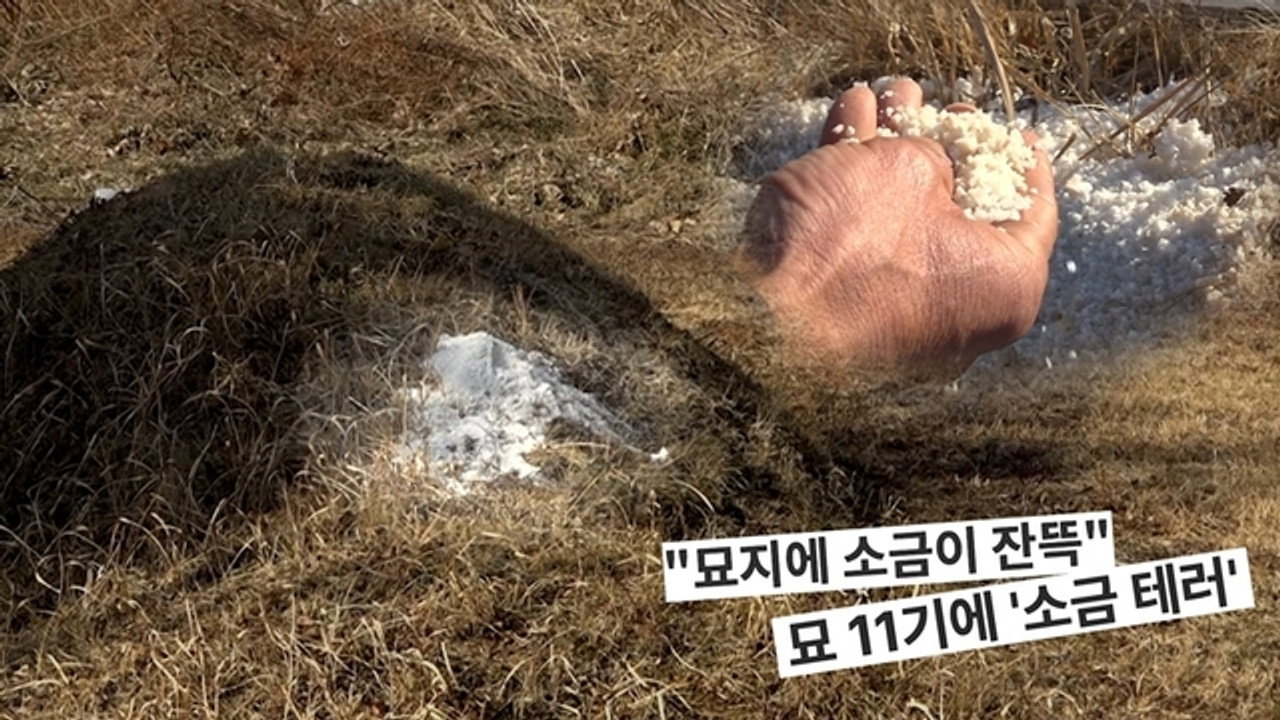 궁금한 이야기 Y backdrop