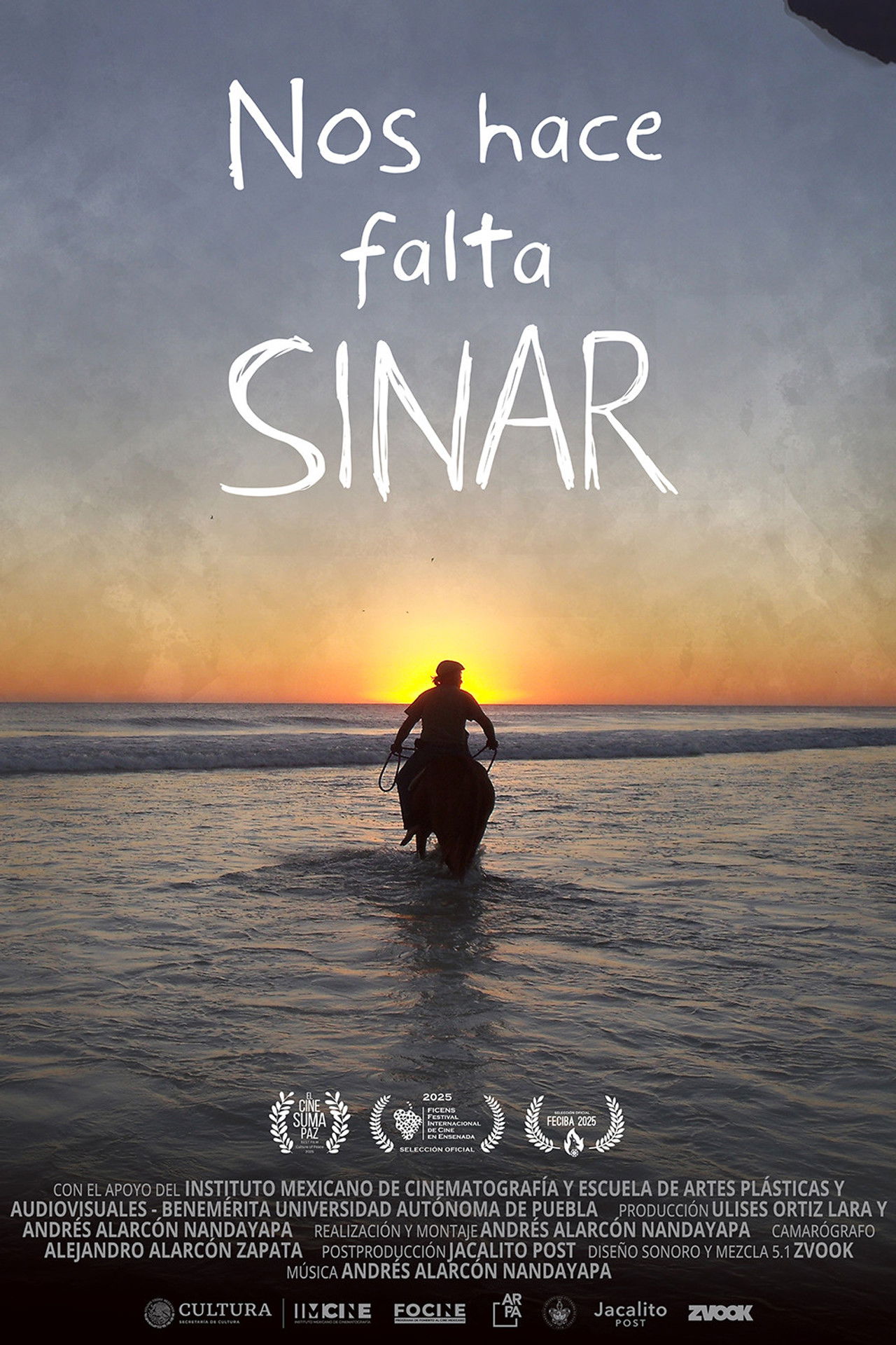 Nos hace falta Sinar