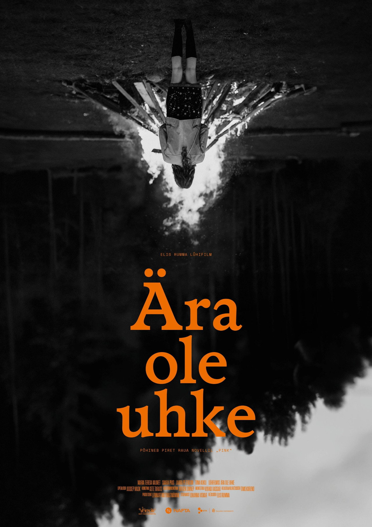 Ära ole uhke filmaffisch