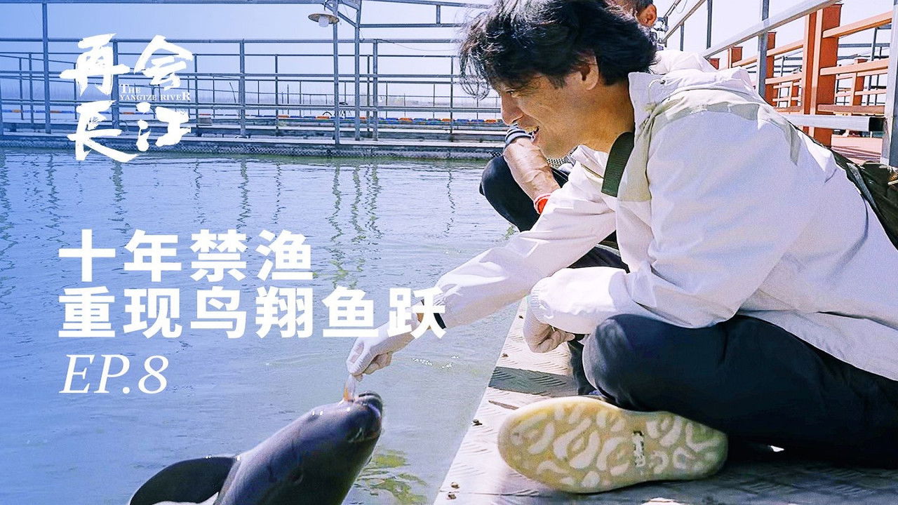 再会长江 — Épisode 8