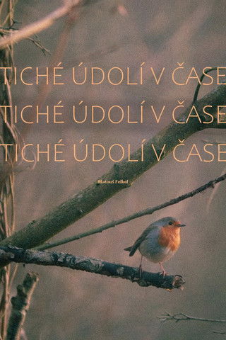 Tiché údolí v čase poster